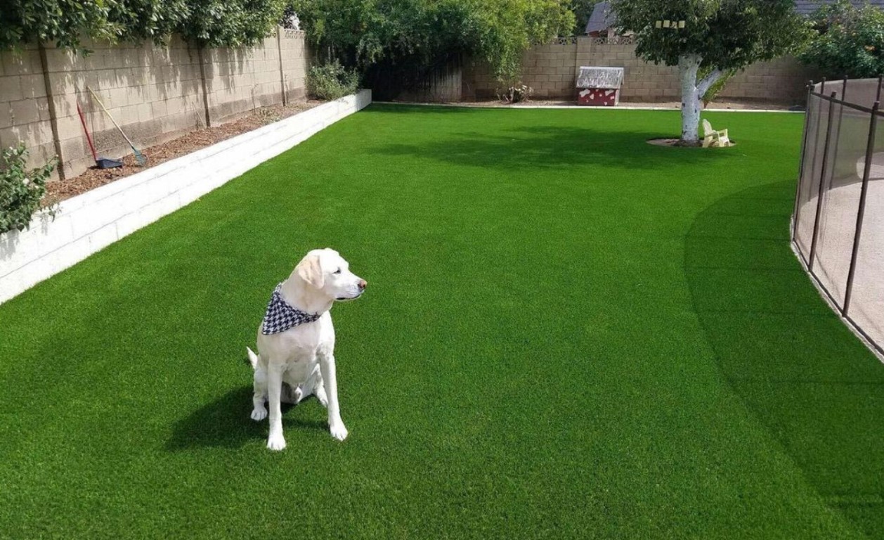 Pet-friendly artificial turf system for dogs in Tuscaloosa